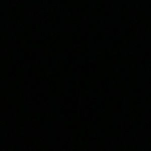 Meet your Posher, Charity